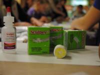 Мастер-класс по полимерной глине тм Sculpey. Мастер Екатерина Синицына