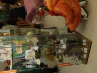 выставка творческих работ