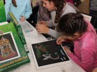 Презентация наборов - картина из пайеток тм Волшебная мастерская