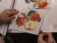 Мастер-класс от компании Питер Арт Сервис. Панно с использованием текстурной пасты Сонет. Мастер Анна Богова