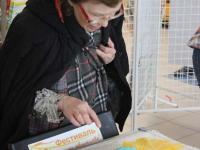 Мастер-класс по мокрому валянию. Мастер Елена Вологдина