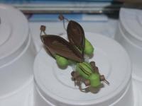 Презентация Журнала Мальчишки и девчонки. Школа ремесел