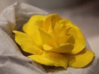 Презентация полимерной глины Deco Clay. Мастер Надежда Карпинская