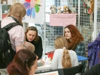 Презентация товаров для фелтинга. Сухое валяние. Мастер Елизавета Романова