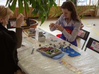 Вышивка по войлоку японским бисером ТОНО (брошь). Мастер Марина Гайдукова