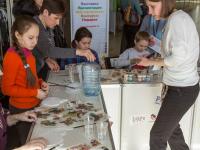 Декорирование деревянных заготовок Decola. Компания ПитерАртСервис