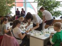 Декупаж обложки на паспорт. Компания Фридекор