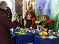 Керамическая флористика Azalee