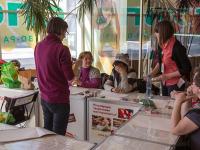 Техника работы с экструдером Maikins и глиной Fimo