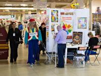 Наборы для написания картин по номерам Schipper