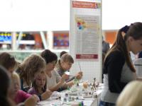 роспись по стеклу и керамике красками Гамма. М-кл от компании Гамма ведёт Стеклова Тамара