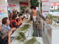 игрушки из травы - м-кл от педагога доп образования Антипиной Елены Александровны