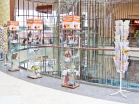 выставка творческих работ на 4-м этаже трц Аура