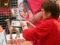 Техника декопач тм Decopatch от компании Дигл Дизайн