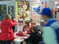 Презентация и мастер-классы от компании АрсХобби - скрапбукинг, мозаика, объемный декупаж и др