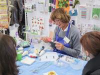 Изготовление сахарных цветов из айсинга с исп. инструментов компании Wilton - презентация и м-кл от компании Бизнес-Класс