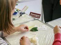 М-кл по лепке из полимерной глины Deco Clay. Ведёт Вылегжанина Елена