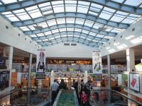 Общий вид площадки фестиваля