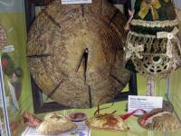  Выставка готовых творческих работ