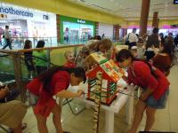 Роспись скворечников