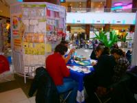 Презентация по скапбукингу и квиллингу от тм Mr. Painter