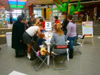 Мастер-класс. Брошь в технике мокрого валяния. Мастер Шайтанова Мария