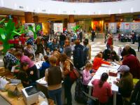 Общий вид площадки фестиваля