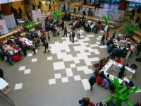 Общий вид площадки фестиваля