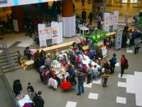 Общий вид площадки фестиваля