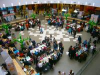 Общий вид площадки фестиваля