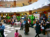 Общий вид площадки фестиваля