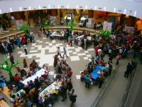 Общий вид площадки фестиваля