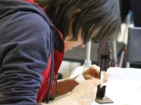 Мастер-класс Роспись point-to-point по дереву ведет Семенова Ольга