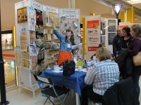 Презентация по тм Mr. Carving - деревянные заготовки для декорирования