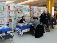 Презентация по скрапбукингу от тм Mr. Painter