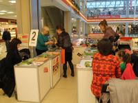 Мастер-класс. Живопись шерстью