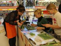 Мастер-класс. Живопись шерстью