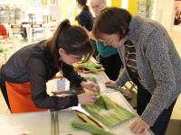 Мастер-класс. Живопись шерстью