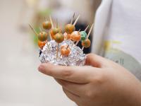 Практические мастер-классы