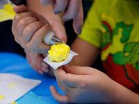 Практические мастер-классы