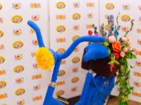 Презентация по вязанию. Пряжа Alpina, Adelia, Visantia и иструменты для вязания Gamma