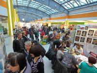 Выставка творческих работ