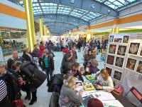 Выставка творческих работ