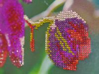 Раскрашивание по номерам  от тм Color Kit