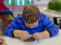  Творческие конкурсы