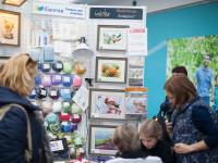 Презентация инструментов для валяния Gamma и наборы живопись шерстью тм Woolla