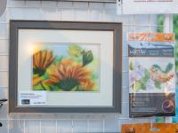 Презентация инструментов для валяния Gamma и наборы живопись шерстью тм Woolla