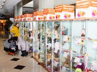 Выставка творческих работ