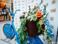 Инструменты и пряжа для вязания тм Гамма, Alpina, Visantia, Adelia