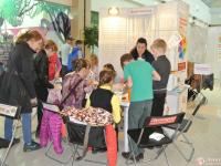 Мыловарение в домашних условиях Выдумщики.ру